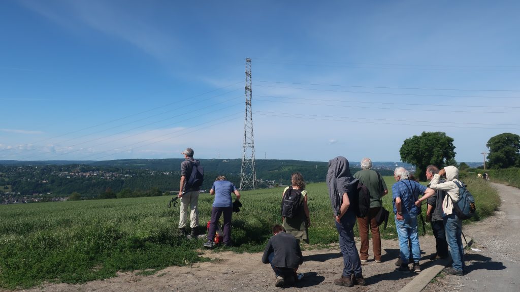 Les Marches de JUIN 2019